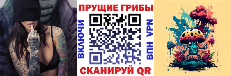 Галлюциногенные грибы Psilocybe Пыталово