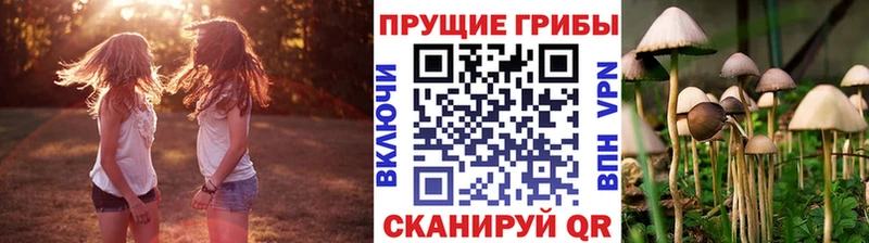 Галлюциногенные грибы Cubensis  Пыталово 